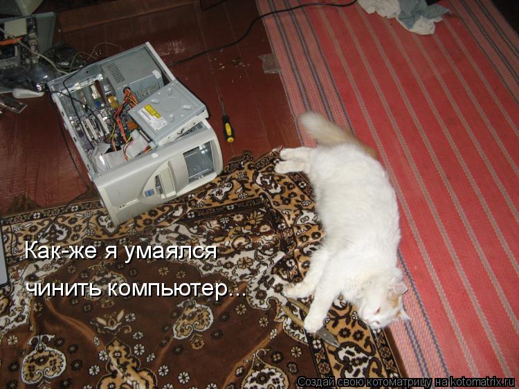Как-же я умаялся чинить компьютер...... Котоматрица: Как-же я умаялся чинить компьютер...