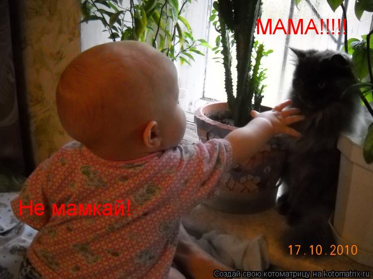 МАМА!!!!! Не мамкай!... Котоматрица: МАМА!!!!! Не мамкай!