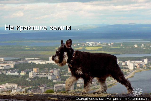 На краюшке земли ...... Котоматрица: На краюшке земли ...