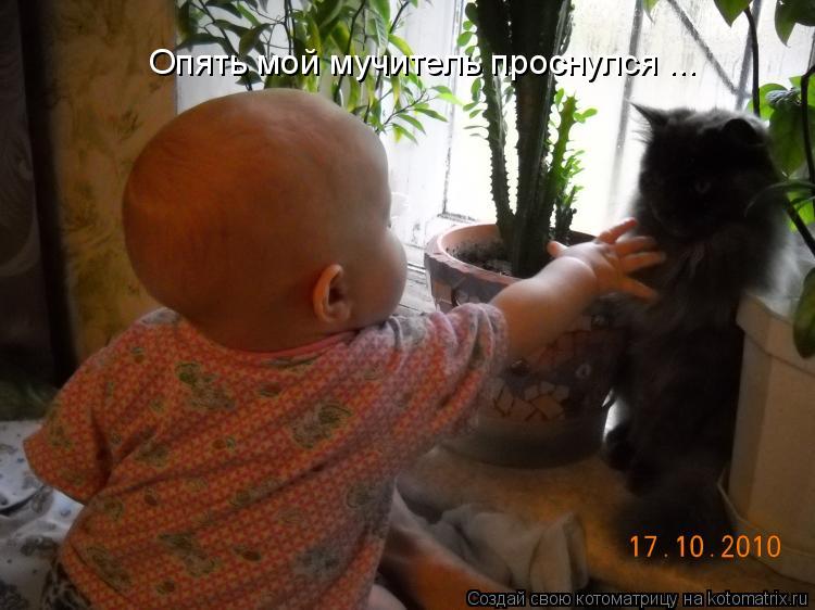 Опять мой мучитель проснулся ...... Котоматрица: Опять мой мучитель проснулся ...