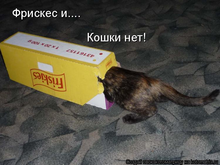 Фрискес и.... Кошки нет!... Котоматрица: Фрискес и.... Кошки нет!