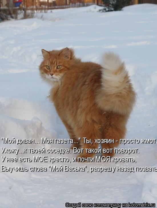 Котоматрица: Ухожу...к твоей соседке. Вот такой вот поворот. "Мой диван... Моя газета..." Ты, хозяин - просто жмот. У нее есть МОЕ кресло, и почти МОЯ кровать, Вы