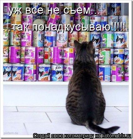 уж все не съем... ...так понадкусываю!!!!!... Котоматрица: уж все не съем... ...так понадкусываю!!!!!