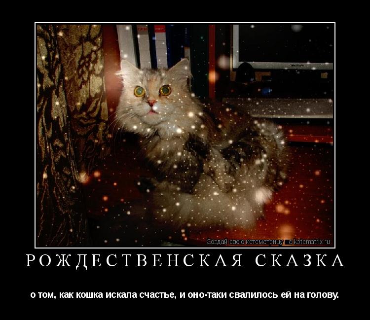 РОЖДЕСТВЕНСКАЯ СКАЗКА о том, как кошка искала счастье, и оно-таки свалилось ей на голову.... Котоматрица: РОЖДЕСТВЕНСКАЯ СКАЗКА о том, как кошка искала счастье, и оно-таки свалилось ей на голову.