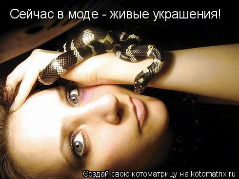 Сейчас в моде - живые украшения!... Котоматрица: Сейчас в моде - живые украшения!