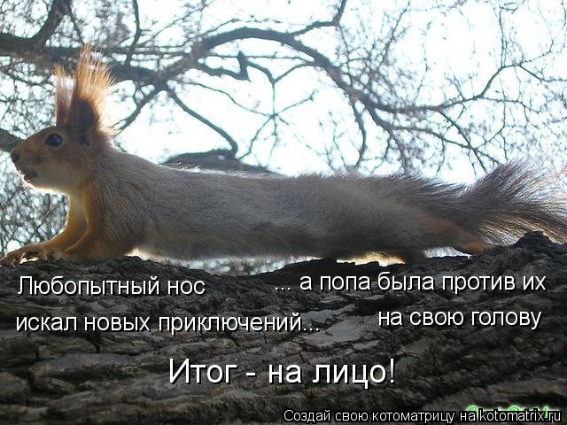 искал новых приключений... Любопытный нос ... а попа была против их на свою голову Итог - на лицо!... Котоматрица: искал новых приключений... Любопытный нос ... а попа была против их на свою голову Итог - на лицо!