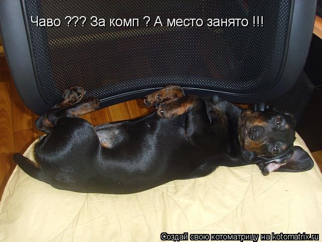 Чаво ??? За комп ? А место занято !!!... Котоматрица: Чаво ??? За комп ? А место занято !!!