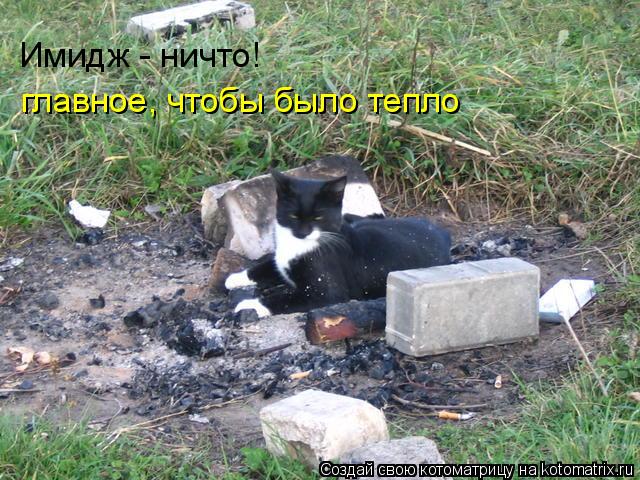 Имидж - ничто! главное, чтобы было тепло... Котоматрица: Имидж - ничто! главное, чтобы было тепло