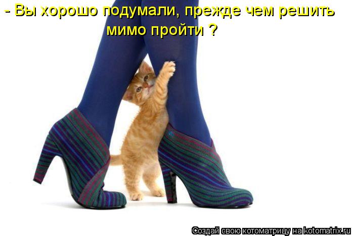 - Вы хорошо подумали, прежде чем решить мимо пройти ?... Котоматрица: - Вы хорошо подумали, прежде чем решить мимо пройти ?