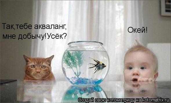 Так,тебе акваланг, мне добычу!Усёк? Окей!... Котоматрица: Так,тебе акваланг, мне добычу!Усёк? Окей!
