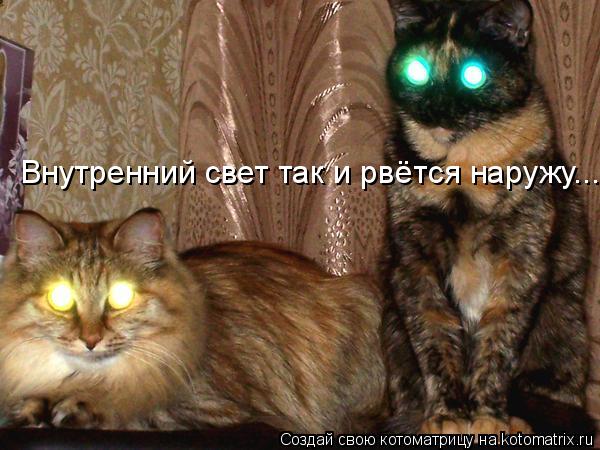 Внутренний свет так и рвётся наружу...... Котоматрица: Внутренний свет так и рвётся наружу...