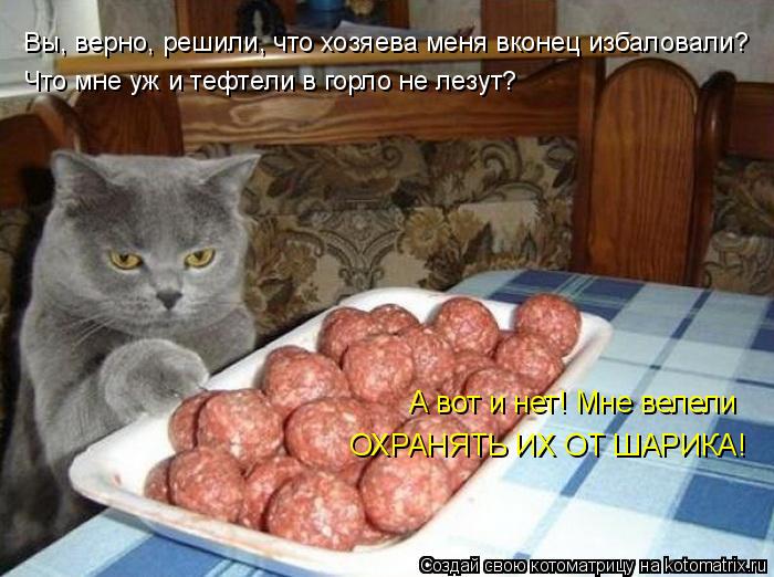 Котоматрица: Вы, верно, решили, что хозяева меня вконец избаловали? Что мне уж и тефтели в горло не лезут? А вот и нет! Мне велели ОХРАНЯТЬ ИХ ОТ ШАРИКА!