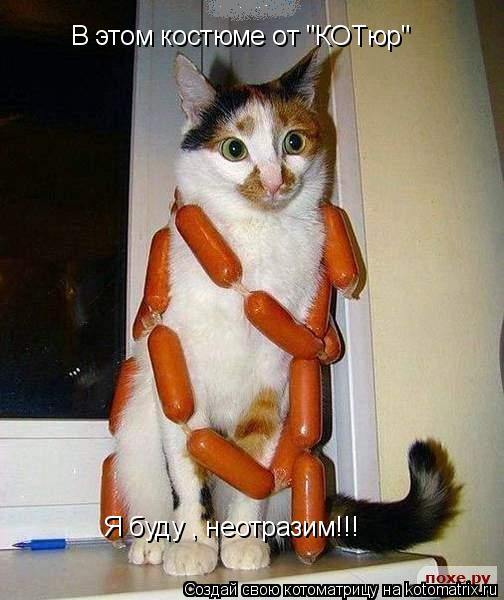 Котоматрица: В этом костюме от "КОТюр" Я буду , неотразим!!!