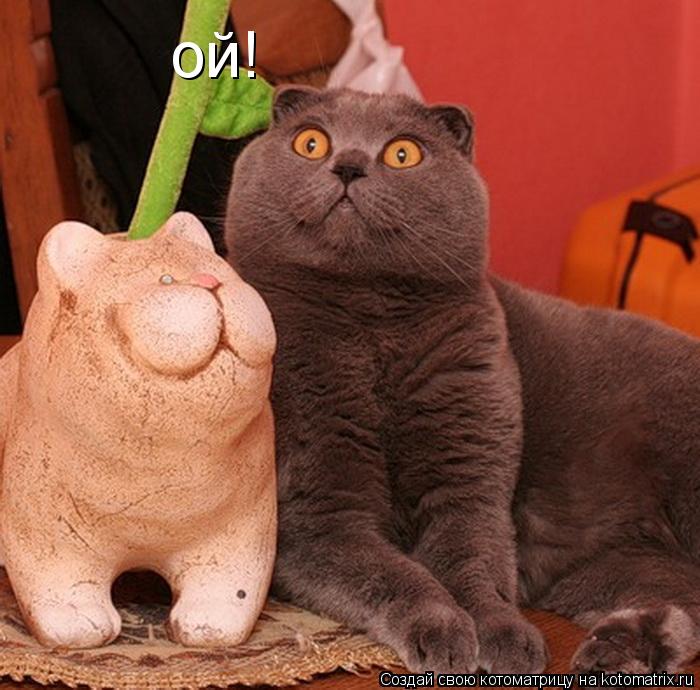 ой!... Котоматрица: ой!