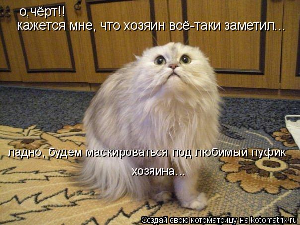 о,чёрт!! кажется мне, что хозяин всё-таки заметил... ладно, будем маскироваться под любимый пуфик хоз... Котоматрица: о,чёрт!! кажется мне, что хозяин всё-таки заметил... ладно, будем маскироваться под любимый пуфик хозяина...