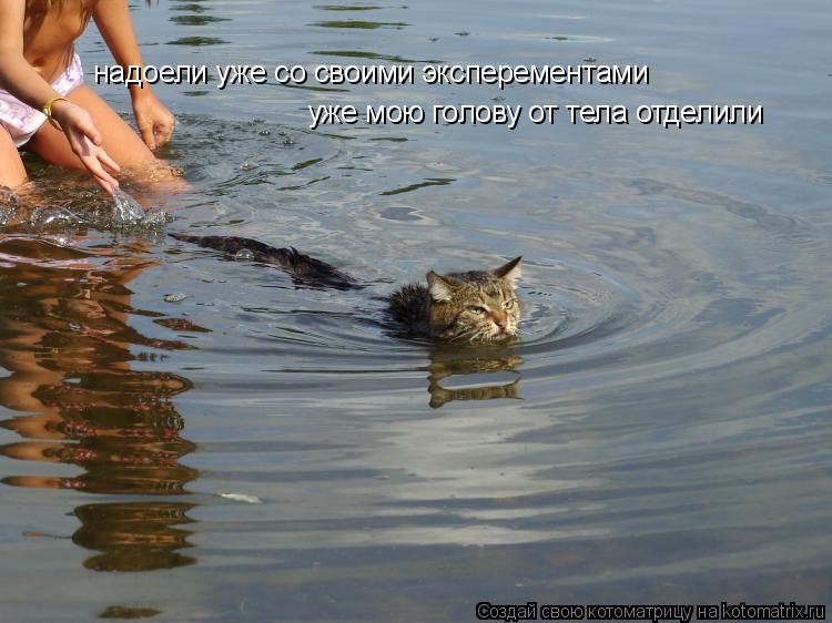 надоели уже со своими эксперементами уже мою голову от тела отделили... Котоматрица: надоели уже со своими эксперементами уже мою голову от тела отделили