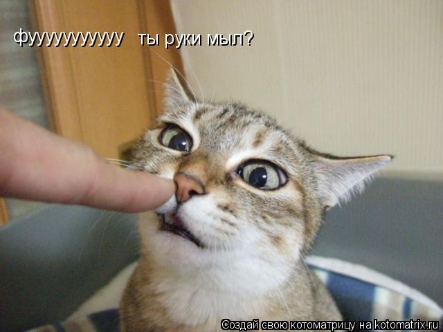 ты руки мыл? фууууууууууу... Котоматрица: ты руки мыл? фууууууууууу