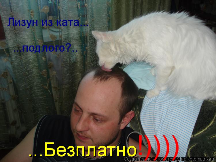 Лизун из ката... ...подлого?.. ...Безплатно !))))... Котоматрица: Лизун из ката... ...подлого?.. ...Безплатно !))))