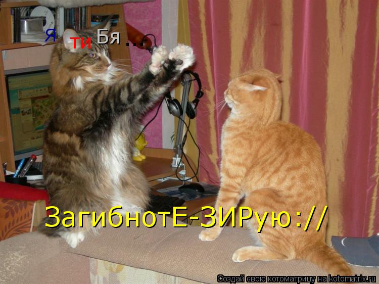 Я ти Бя ... ЗагибнотЕ-ЗИРую://... Котоматрица: Я ти Бя ... ЗагибнотЕ-ЗИРую://