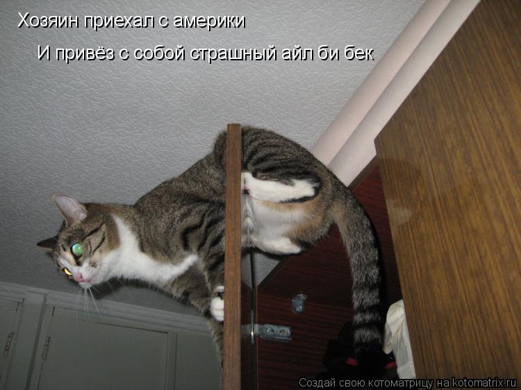 Хозяин приехал с америки И привёз с собой страшный айл би бек... Котоматрица: Хозяин приехал с америки И привёз с собой страшный айл би бек