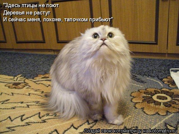 "Здесь птицы не поют Деревья не растут И сейчас меня, похоже, тапочком прибьют"... Котоматрица: "Здесь птицы не поют Деревья не растут И сейчас меня, похоже, тапочком прибьют"
