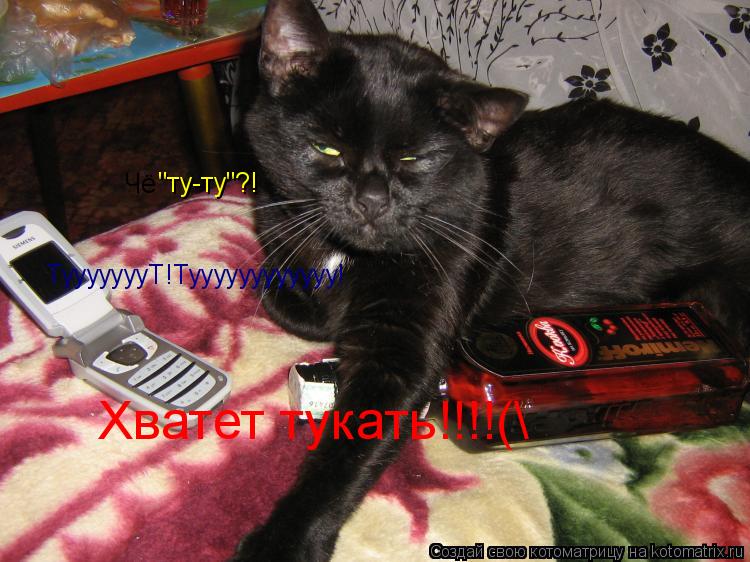 ТуууууууТ!Туууууууууууу! Чё "ту-ту"?! Хватет тукать!!!!(\... Котоматрица: ТуууууууТ!Туууууууууууу! Чё "ту-ту"?! Хватет тукать!!!!(\