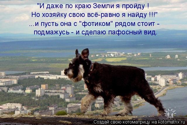"И даже по краю Земли я пройду ! Но хозяйку свою всё-равно я найду !!!" ...и пусть она с "фотиком" ря... Котоматрица: "И даже по краю Земли я пройду ! Но хозяйку свою всё-равно я найду !!!" ...и пусть она с "фотиком" рядом стоит - подмажусь - и сделаю пафосный вид.