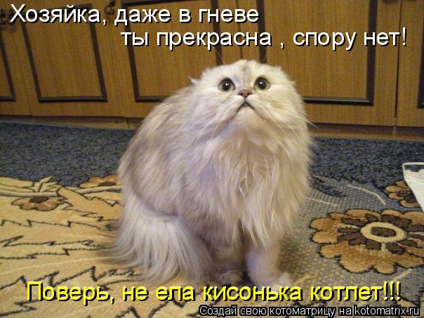 Хозяйка, даже в гневе ты прекрасна , спору нет! Поверь, не ела кисонька котлет!!! Поверь, не ела кис... Котоматрица: Хозяйка, даже в гневе ты прекрасна , спору нет! Поверь, не ела кисонька котлет!!! Поверь, не ела кисонька котлет!!!