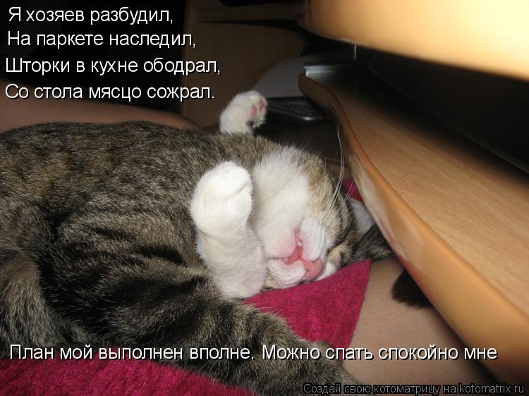 Я хозяев разбудил, На паркете наследил, Шторки в кухне ободрал, Со стола мясцо сожрал. План мой выпол... Котоматрица: Я хозяев разбудил, На паркете наследил, Шторки в кухне ободрал, Со стола мясцо сожрал. План мой выполнен вполне. Можно спать спокойно мне