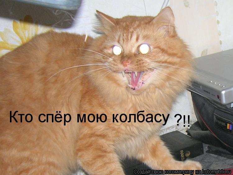 Кто спёр мою колбасу ? !!... Котоматрица: Кто спёр мою колбасу ? !!