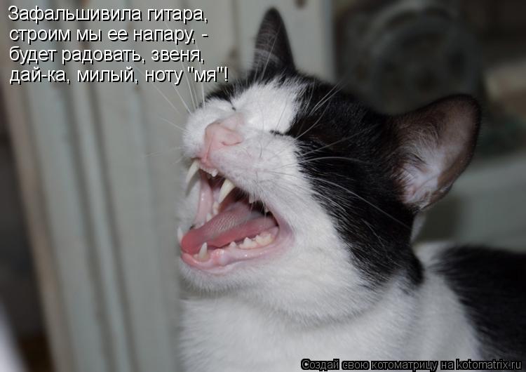 Зафальшивила гитара, строим мы ее напару, - будет радовать, звеня, дай-ка, милый, ноту "мя"!... Котоматрица: Зафальшивила гитара, строим мы ее напару, - будет радовать, звеня, дай-ка, милый, ноту "мя"!