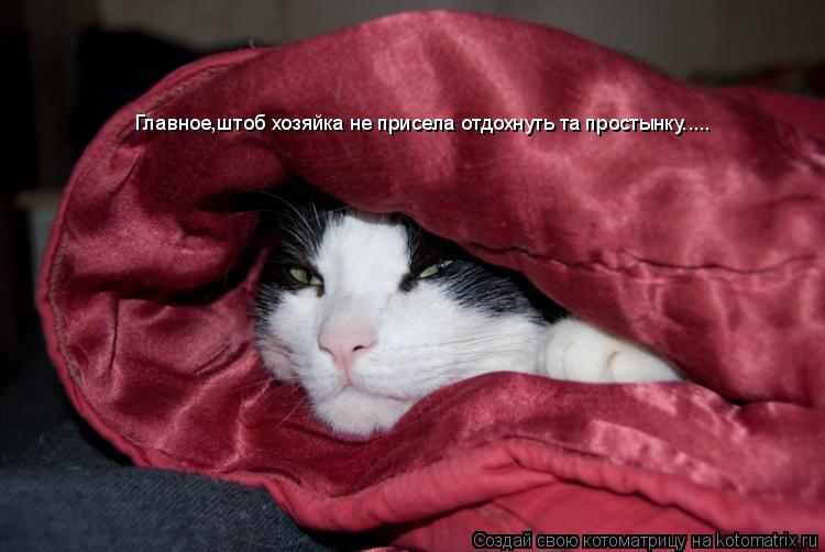 Котоматрица: Главное,штоб хозяйка не присела отдохнуть та простынку.....