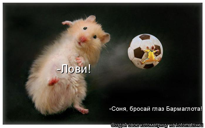 Котоматрица: -Соня, бросай глаз Бармаглота! -Лови!