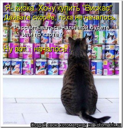 Котоматрица: Я- киска. Хочу купить "Вискас". Дайвате скорее, пока не началось. - Рассчитываться наличкой будете, или по карте ? Ну вот... началось...