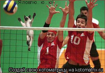 Котоматрица: Я ловлю.. ю.. ю!