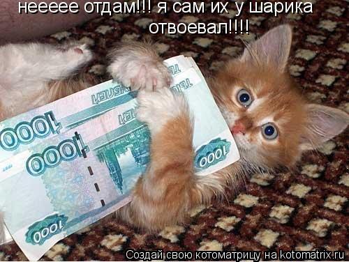 Котоматрица: неееее отдам!!! я сам их у шарика  отвоевал!!!!