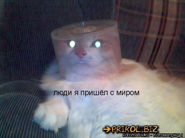 Котоматрица: люди я пришёл с миром