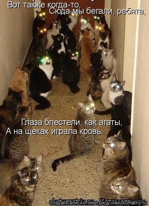 Котоматрица: Вот также когда-то, Сюда мы бегали, ребята, Глаза блестели, как агаты, А на щеках играла кровь..