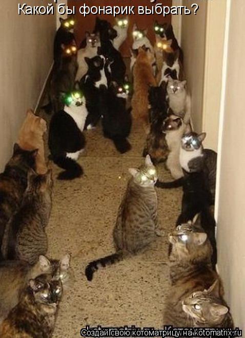 Котоматрица: Какой бы фонарик выбрать?