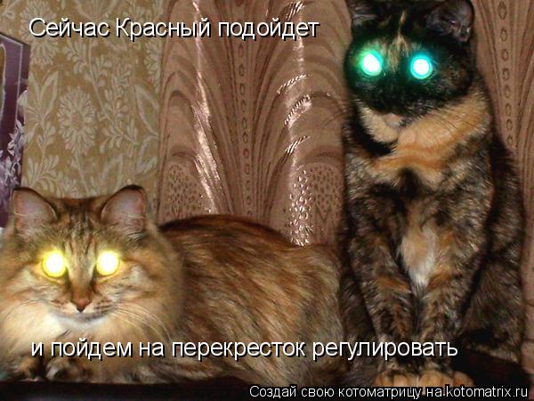 Котоматрица: Сейчас Красный подойдет и пойдем на перекресток регулировать