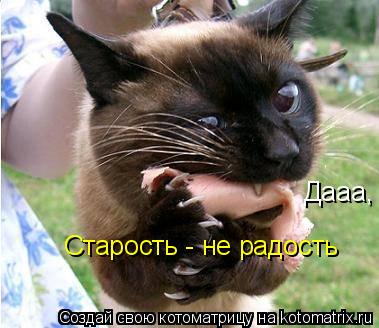 Дааа, Старость - не радость... Котоматрица: Дааа, Старость - не радость