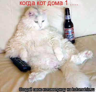 когда кот дома 1 ........ Котоматрица: когда кот дома 1 .....