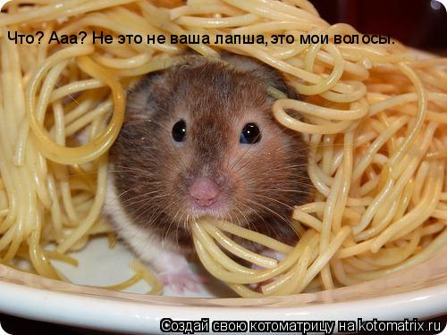 Что? Ааа? Не это не ваша лапша,это мои волосы.... Котоматрица: Что? Ааа? Не это не ваша лапша,это мои волосы.