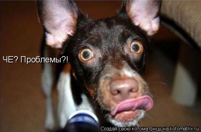 ЧЕ? Проблемы?!... Котоматрица: ЧЕ? Проблемы?!