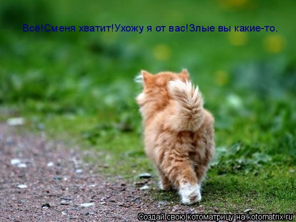 Котоматрица: Всё!Сменя хватит!Ухожу я от вас!Злые вы какие-то.