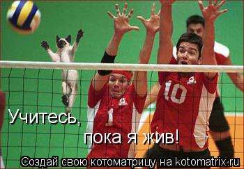 Котоматрица: Учитесь, пока я жив!
