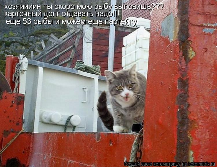 Котоматрица: хозяиииин ты скоро мою рыбу выловишь??? карточный долг отдавать надо!!! ещё 53 рыбы и можем ещё партейку!