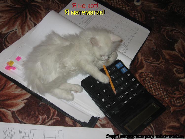 Котоматрица: Я не кот! Я математик!