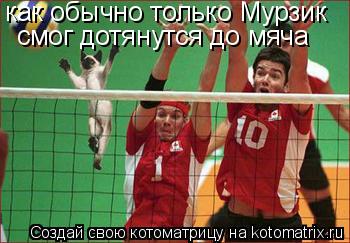 Котоматрица: как обычно только Мурзик смог дотянутся до мяча