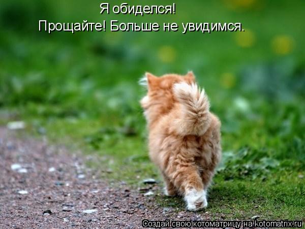 Котоматрица: Я обиделся! Прощайте! Больше не увидимся.